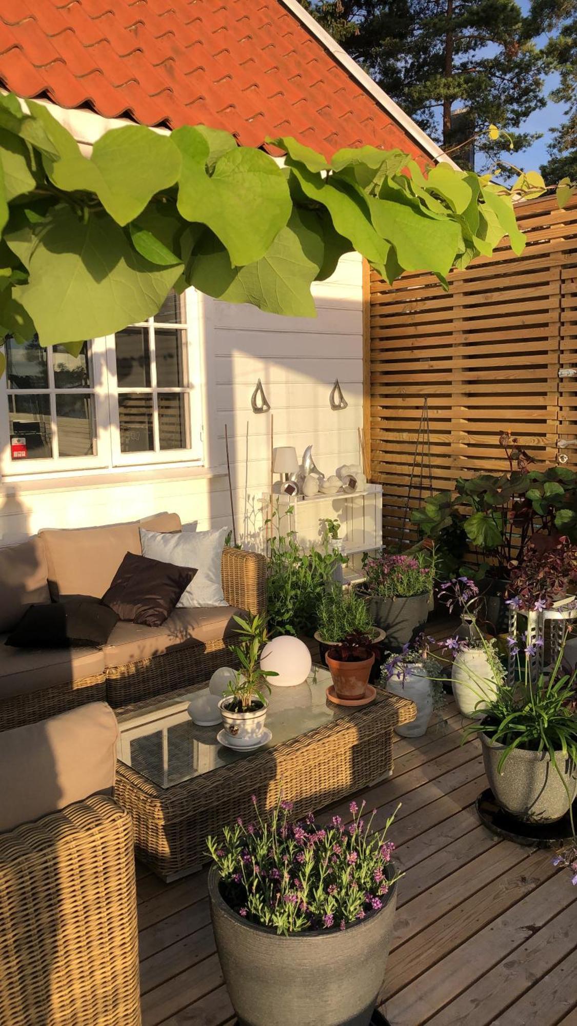 Leilighet I Sorlandshus I Son - Sjoutsikt - Naer Son Spa 외부 사진